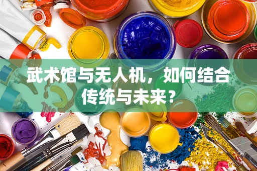 武术馆与无人机，如何结合传统与未来？