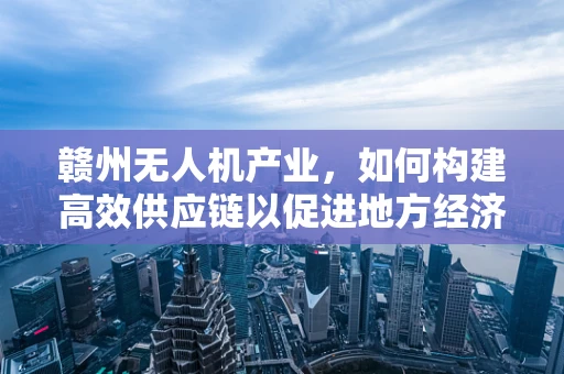 赣州无人机产业，如何构建高效供应链以促进地方经济发展？