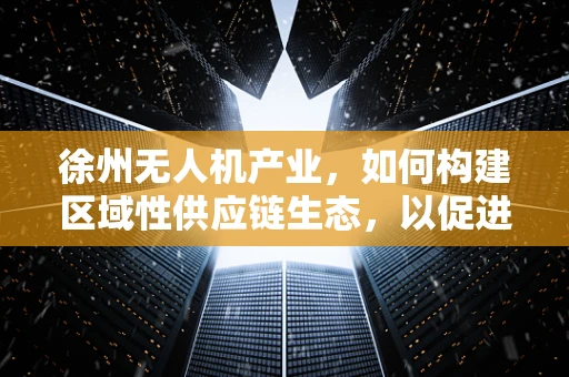 徐州无人机产业，如何构建区域性供应链生态，以促进产业升级？