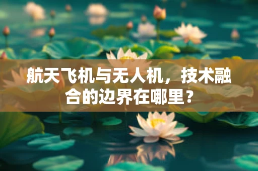 航天飞机与无人机，技术融合的边界在哪里？