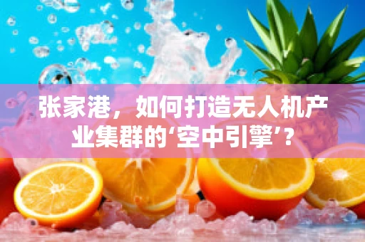 张家港，如何打造无人机产业集群的‘空中引擎’？