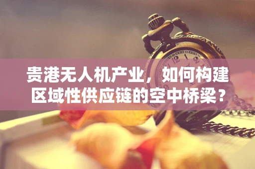 贵港无人机产业，如何构建区域性供应链的空中桥梁？