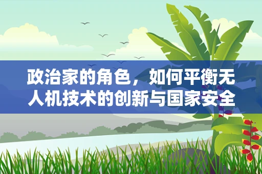 政治家的角色，如何平衡无人机技术的创新与国家安全？
