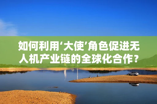 如何利用‘大使’角色促进无人机产业链的全球化合作？