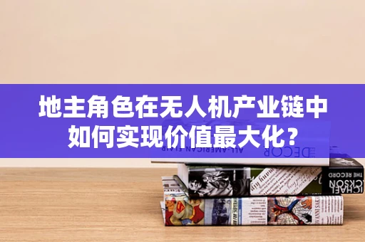 地主角色在无人机产业链中如何实现价值最大化？