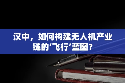 汉中，如何构建无人机产业链的‘飞行’蓝图？