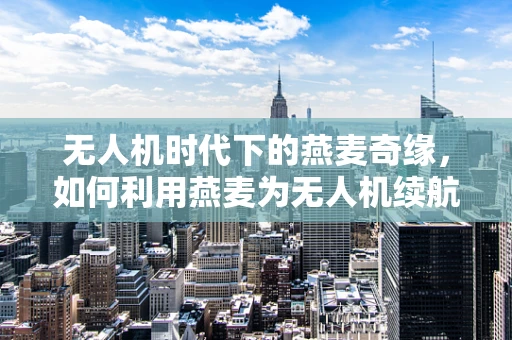 无人机时代下的燕麦奇缘，如何利用燕麦为无人机续航？