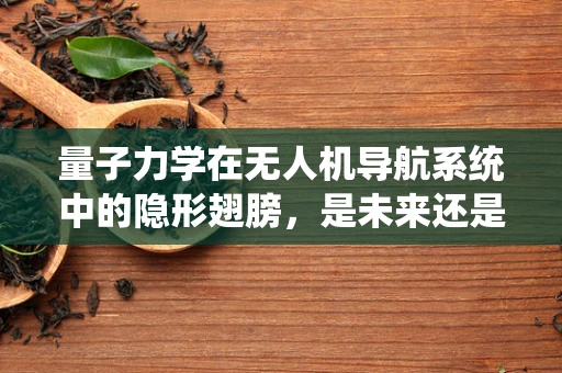 量子力学在无人机导航系统中的隐形翅膀，是未来还是幻想？