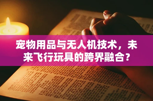 宠物用品与无人机技术，未来飞行玩具的跨界融合？