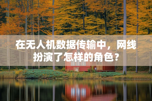 在无人机数据传输中，网线扮演了怎样的角色？