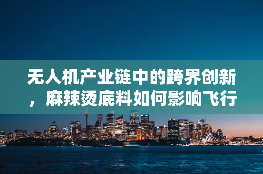 无人机产业链中的跨界创新，麻辣烫底料如何影响飞行稳定性？