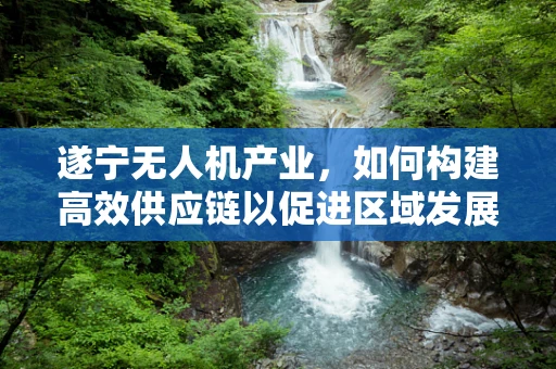 遂宁无人机产业，如何构建高效供应链以促进区域发展？