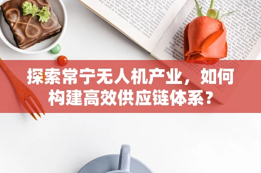 探索常宁无人机产业，如何构建高效供应链体系？