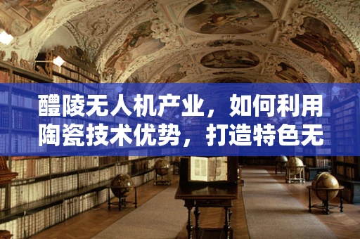 醴陵无人机产业，如何利用陶瓷技术优势，打造特色无人机产业链？