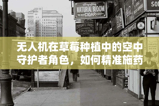 无人机在草莓种植中的空中守护者角色，如何精准施药与监测？