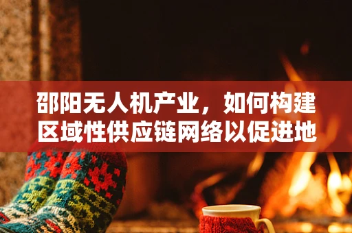邵阳无人机产业，如何构建区域性供应链网络以促进地方经济发展？
