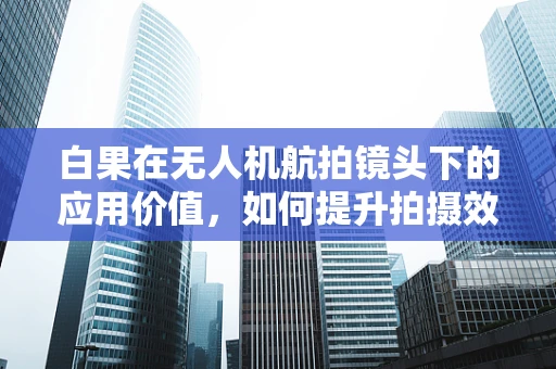 白果在无人机航拍镜头下的应用价值，如何提升拍摄效果？