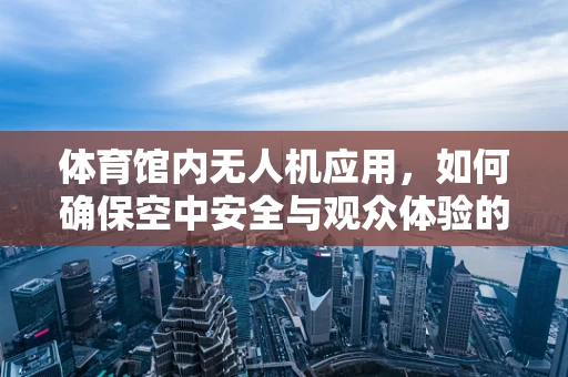 体育馆内无人机应用，如何确保空中安全与观众体验的完美平衡？