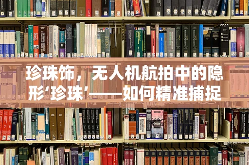 珍珠饰，无人机航拍中的隐形‘珍珠’——如何精准捕捉并传输？