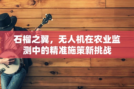 石榴之翼，无人机在农业监测中的精准施策新挑战
