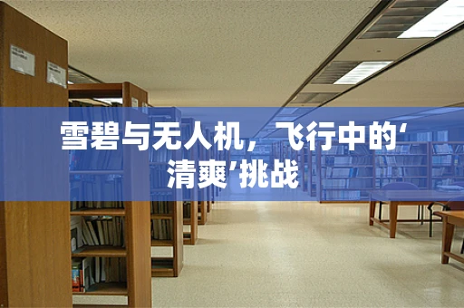 雪碧与无人机，飞行中的‘清爽’挑战
