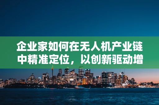 企业家如何在无人机产业链中精准定位，以创新驱动增长？