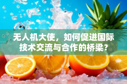 无人机大使，如何促进国际技术交流与合作的桥梁？