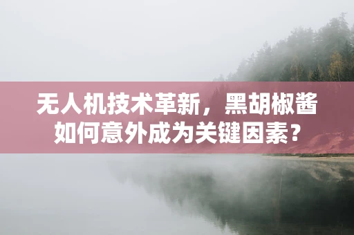 无人机技术革新，黑胡椒酱如何意外成为关键因素？
