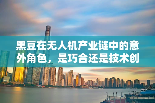 黑豆在无人机产业链中的意外角色，是巧合还是技术创新的隐喻？