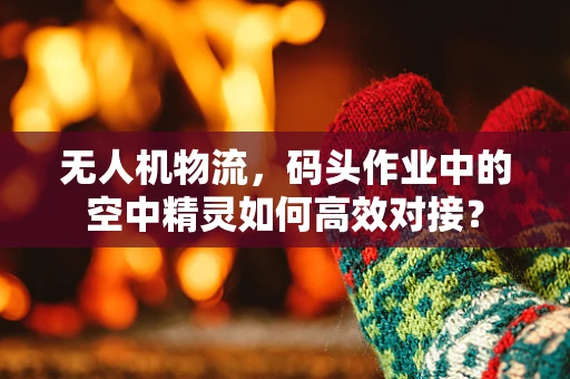 无人机物流，码头作业中的空中精灵如何高效对接？