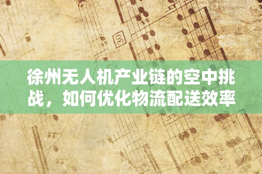 徐州无人机产业链的空中挑战，如何优化物流配送效率？