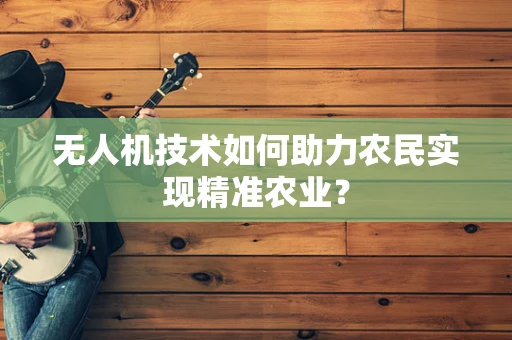 无人机技术如何助力农民实现精准农业？