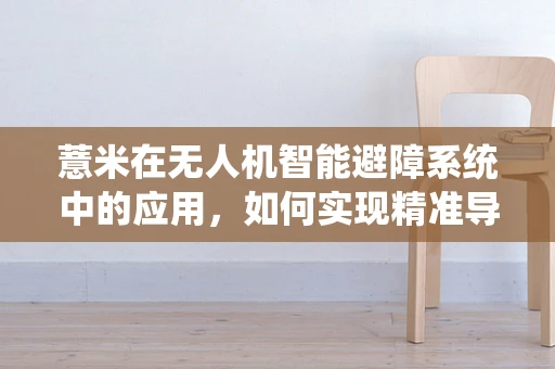 薏米在无人机智能避障系统中的应用，如何实现精准导航？