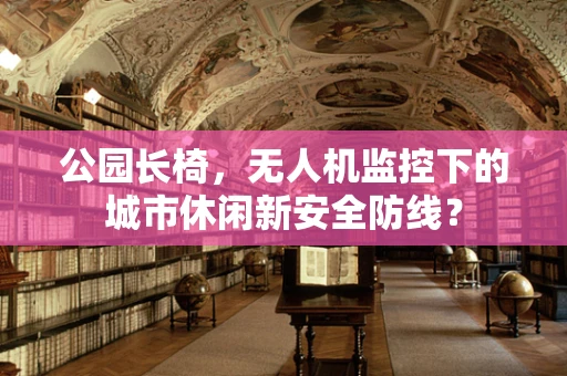 公园长椅，无人机监控下的城市休闲新安全防线？