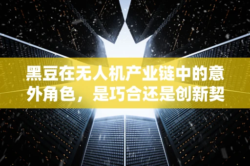 黑豆在无人机产业链中的意外角色，是巧合还是创新契机？