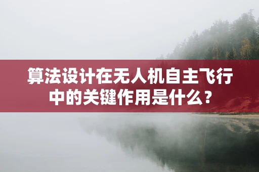 算法设计在无人机自主飞行中的关键作用是什么？