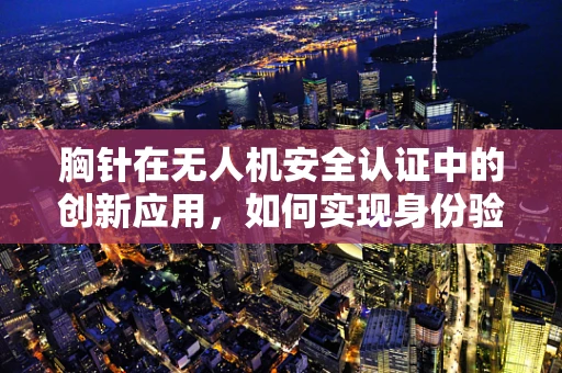 胸针在无人机安全认证中的创新应用，如何实现身份验证的隐形化与高效性？