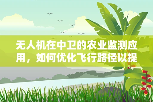 无人机在中卫的农业监测应用，如何优化飞行路径以提升监测效率？