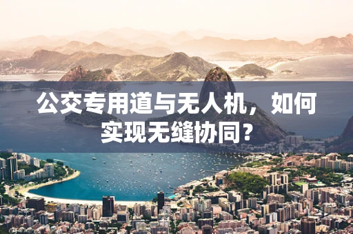 公交专用道与无人机，如何实现无缝协同？