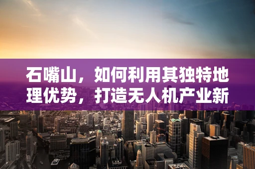 石嘴山，如何利用其独特地理优势，打造无人机产业新生态？