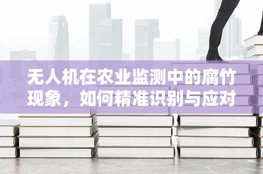无人机在农业监测中的腐竹现象，如何精准识别与应对？