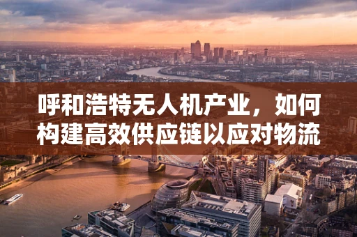 呼和浩特无人机产业，如何构建高效供应链以应对物流挑战？