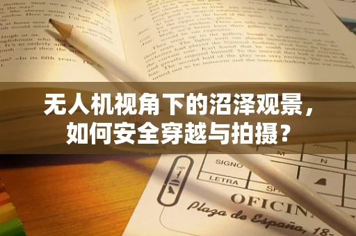 无人机视角下的沼泽观景，如何安全穿越与拍摄？