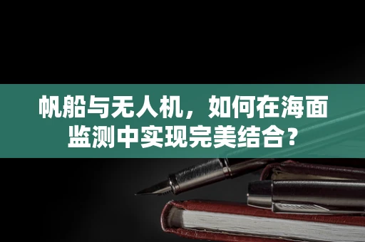 帆船与无人机，如何在海面监测中实现完美结合？