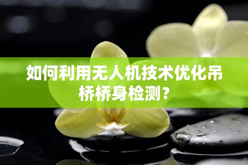 如何利用无人机技术优化吊桥桥身检测？