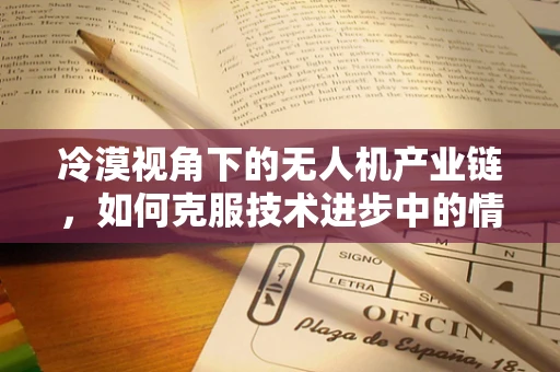 冷漠视角下的无人机产业链，如何克服技术进步中的情感隔阂？