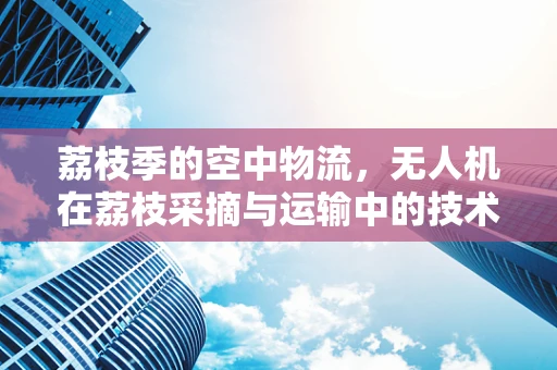 荔枝季的空中物流，无人机在荔枝采摘与运输中的技术挑战