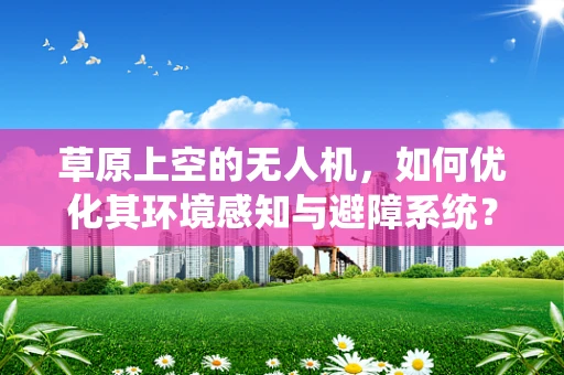 草原上空的无人机，如何优化其环境感知与避障系统？