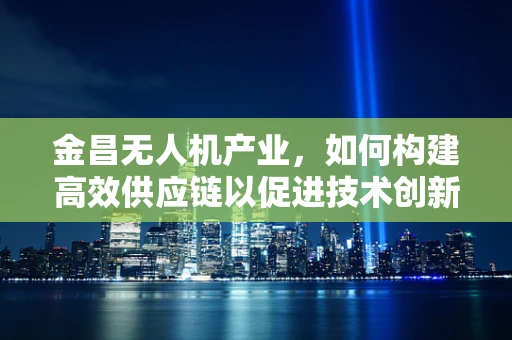 金昌无人机产业，如何构建高效供应链以促进技术创新？