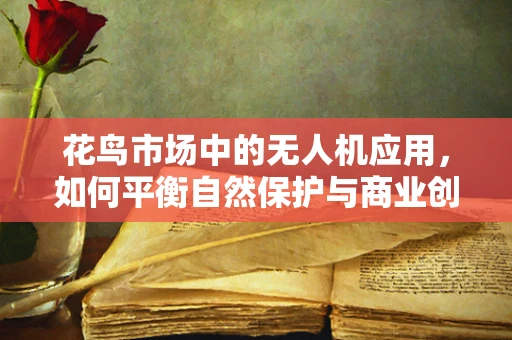 花鸟市场中的无人机应用，如何平衡自然保护与商业创新？